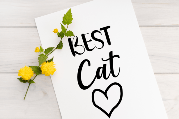 Best Cat T Shirt Design Review
