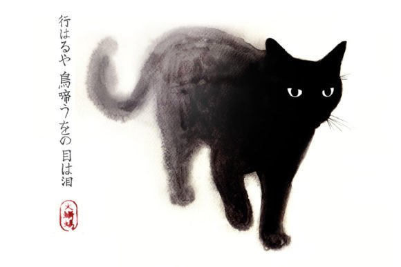Black Cat Illustration in Zen Style Review