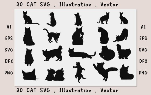 Cat CAt Illustration Cat Vector Review